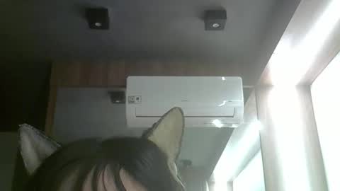 Snapshot of skinnykittencam chatting on June 3, 5:21 am skinnykittencam online show from June 3, 5:21 am