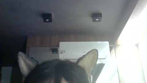 Snapshot of skinnykittencam chatting on June 9, 9:32 am skinnykittencam online show from June 9, 9:32 am
