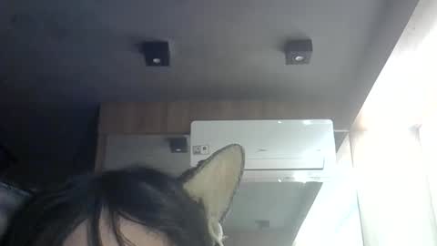 Snapshot of skinnykittencam chatting on June 11, 12:54 am skinnykittencam online show from June 11, 12:54 am