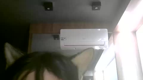 Snapshot of skinnykittencam chatting on June 11, 2:53 am skinnykittencam online show from June 11, 2:53 am