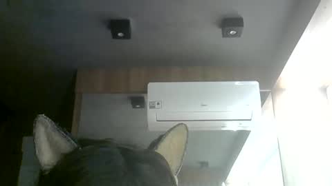 Snapshot of skinnykittencam chatting on June 11, 8:07 pm skinnykittencam online show from June 11, 8:07 pm