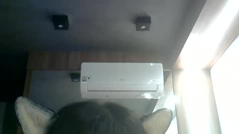 Snapshot of skinnykittencam chatting on June 17, 12:02 am skinnykittencam online show from June 17, 12:02 am