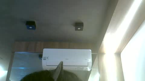 Snapshot of skinnykittencam chatting on June 19, 12:20 pm skinnykittencam online show from June 19, 12:20 pm