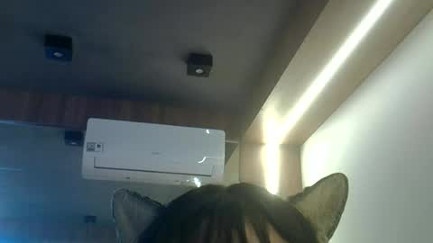 Snapshot of skinnykittencam chatting on June 23, 1:42 pm skinnykittencam online show from June 23, 1:42 pm