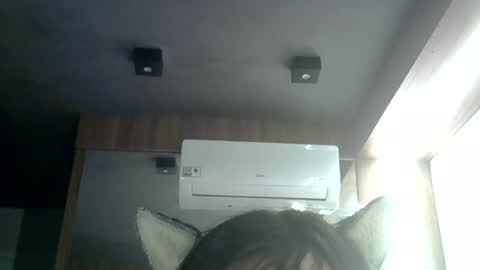 Snapshot of skinnykittencam chatting on June 25, 3:39 am skinnykittencam online show from June 25, 3:39 am