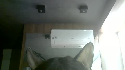 Snapshot of skinnykittencam chatting on June 28, 1:28 pm skinnykittencam online show from June 28, 1:28 pm