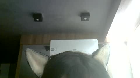 Snapshot of skinnykittencam chatting on July 4, 5:35 am skinnykittencam online show from July 4, 5:35 am