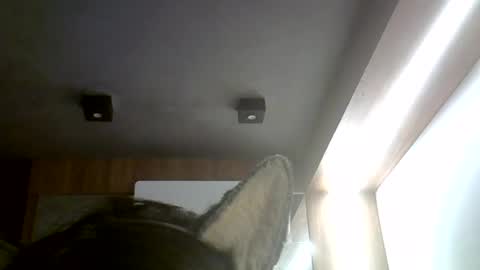 Snapshot of skinnykittencam chatting on July 4, 6:25 pm skinnykittencam online show from July 4, 6:25 pm