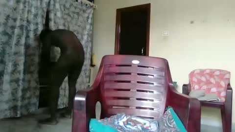 Indianslut1431 online show from April 9, 7:03 am