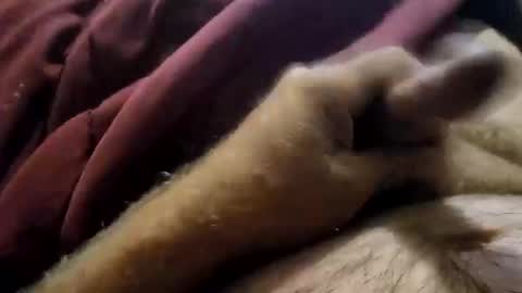 Snapshot of slitlicke69696969 chatting on September 19, 1:56 pm slitlicke69696969 online show from September 19, 1:56 pm