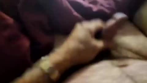 Snapshot of slitlicke69696969 chatting on September 21, 10:28 am slitlicke69696969 online show from September 21, 10:28 am