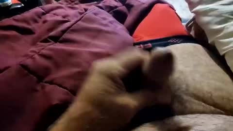 Snapshot of slitlicke69696969 chatting on October 20, 9:10 am slitlicke69696969 online show from October 20, 9:10 am