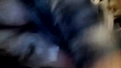 slutbreeze101 online show from February 23, 3:59 am