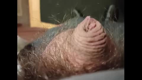 Small Hairy Uncut online show from January 27, 3:37 am