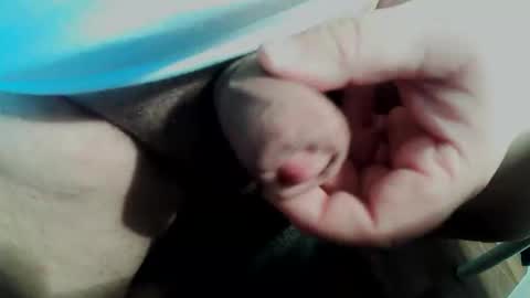 Small Pekka online show from February 11, 3:50 pm