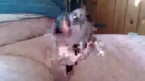 Snapshot of sn0man69 chatting on January 6, 2:47 pm sn0man69 online show from January 6, 2:47 pm