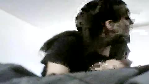 Snapshot of sn0wman071 chatting on June 20, 6:22 pm sn0wman071 online show from June 20, 6:22 pm