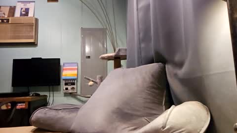 Snackyyyy online show from February 6, 1:10 am