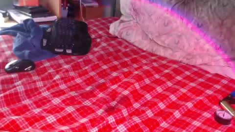 Snapshot of snailfxcks chatting on February 17, 2:35 pm Snail online show from February 17, 2:35 pm