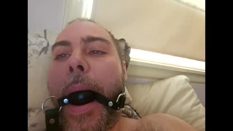 snarkymarks online show from December 17, 3:51 pm