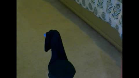 Snapshot of snizniz chatting on December 2, 4:09 pm snizniz online show from December 2, 4:09 pm