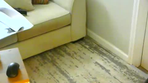 Snapshot of snizniz chatting on January 21, 6:23 pm snizniz online show from January 21, 6:23 pm