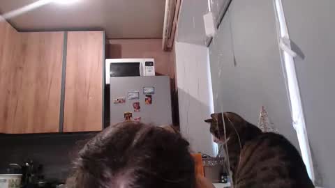 Sofi online show from January 7, 12:51 pm