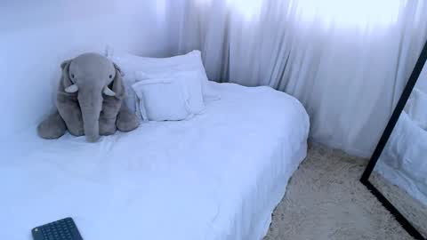 sofia Ill be back on Tuesday June 4.  online show from February 13, 5:01 pm