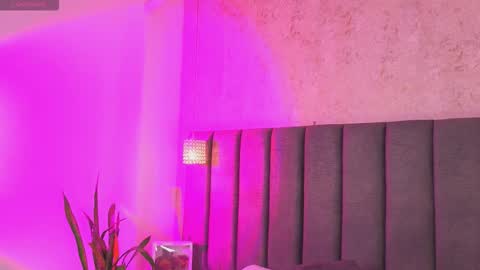 Sofi online show from December 15, 11:36 am