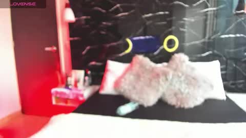 Sofia online show from November 14, 11:53 am