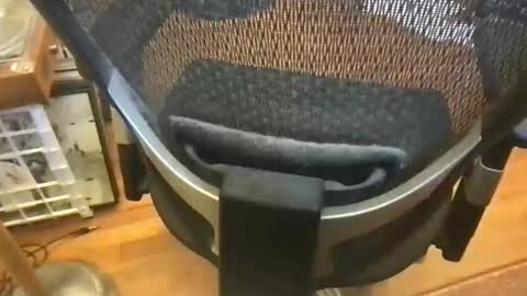 soflastiffyboy69 online show from May 17, 4:58 pm
