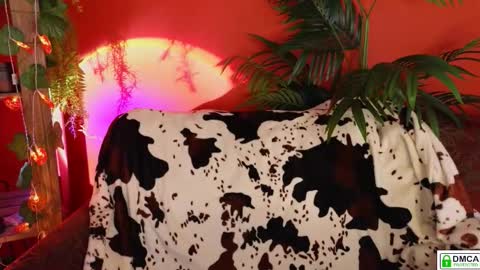 E online show from November 18, 9:14 am