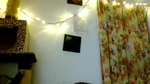 Sofia online show from February 19, 3:46 am