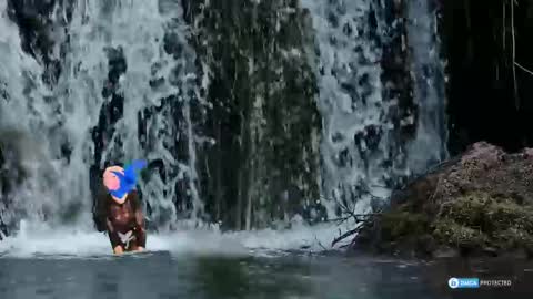 Snapshot of solisii chatting on November 1, 9:11 am solisii online show from November 1, 9:11 am