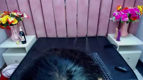 Snapshot of sophi_hardd chatting on December 13, 10:13 pm sophi_hardd online show from December 13, 10:13 pm