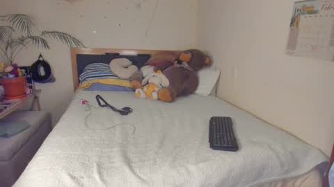 SofiTrans21 online show from February 6, 11:08 pm