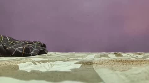 southindiantamil69 online show from December 18, 1:50 pm