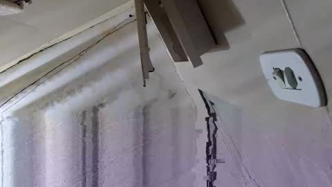 souzabig online show from September 14, 3:16 am