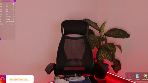 Sami Diaz   online show from December 7, 8:44 am