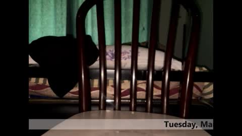 Snapshot of space_dog25 chatting on March 3, 5:24 am space Dog25 online show from March 3, 5:24 am