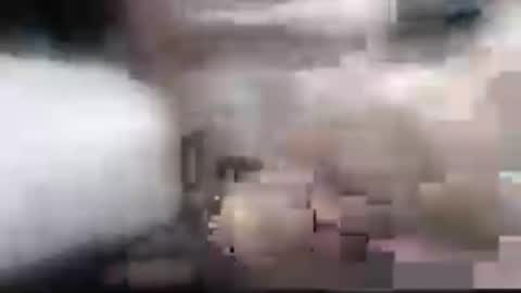 specialdic12 online show from July 8, 8:08 am