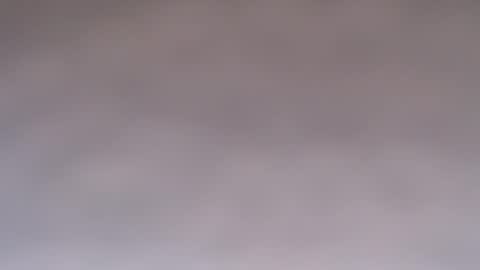 Doll online show from October 7, 10:23 am