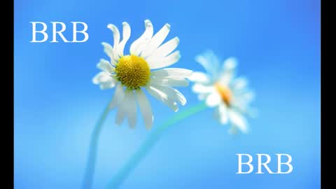 Karina online show from February 28, 8:31 am