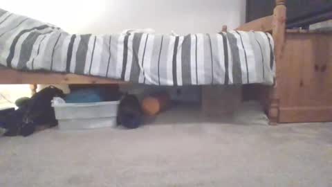 Snapshot of sportyguy283 chatting on March 4, 10:05 pm Sportyguy283 online show from March 4, 10:05 pm