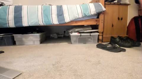 Snapshot of sportyguy283 chatting on January 18, 9:18 pm Sportyguy283 online show from January 18, 9:18 pm