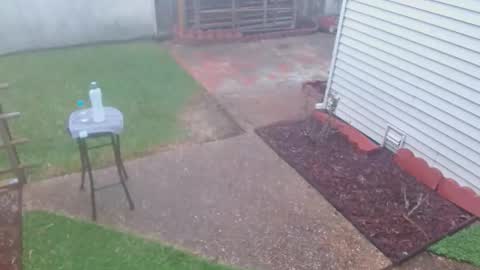 srtxshow online show from March 8, 10:13 pm