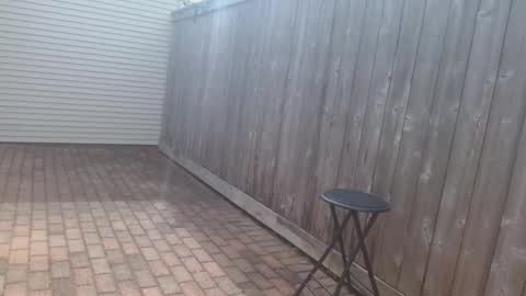 srtxshow online show from April 15, 3:41 pm