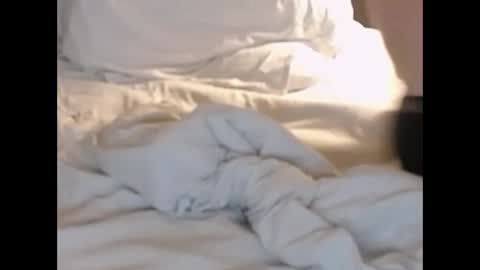 st8llion online show from February 27, 1:38 am