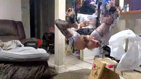 Submissive Slut LOVES adoration online show from November 12, 7:20 am