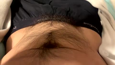 stankfox online show from December 21, 2:41 am